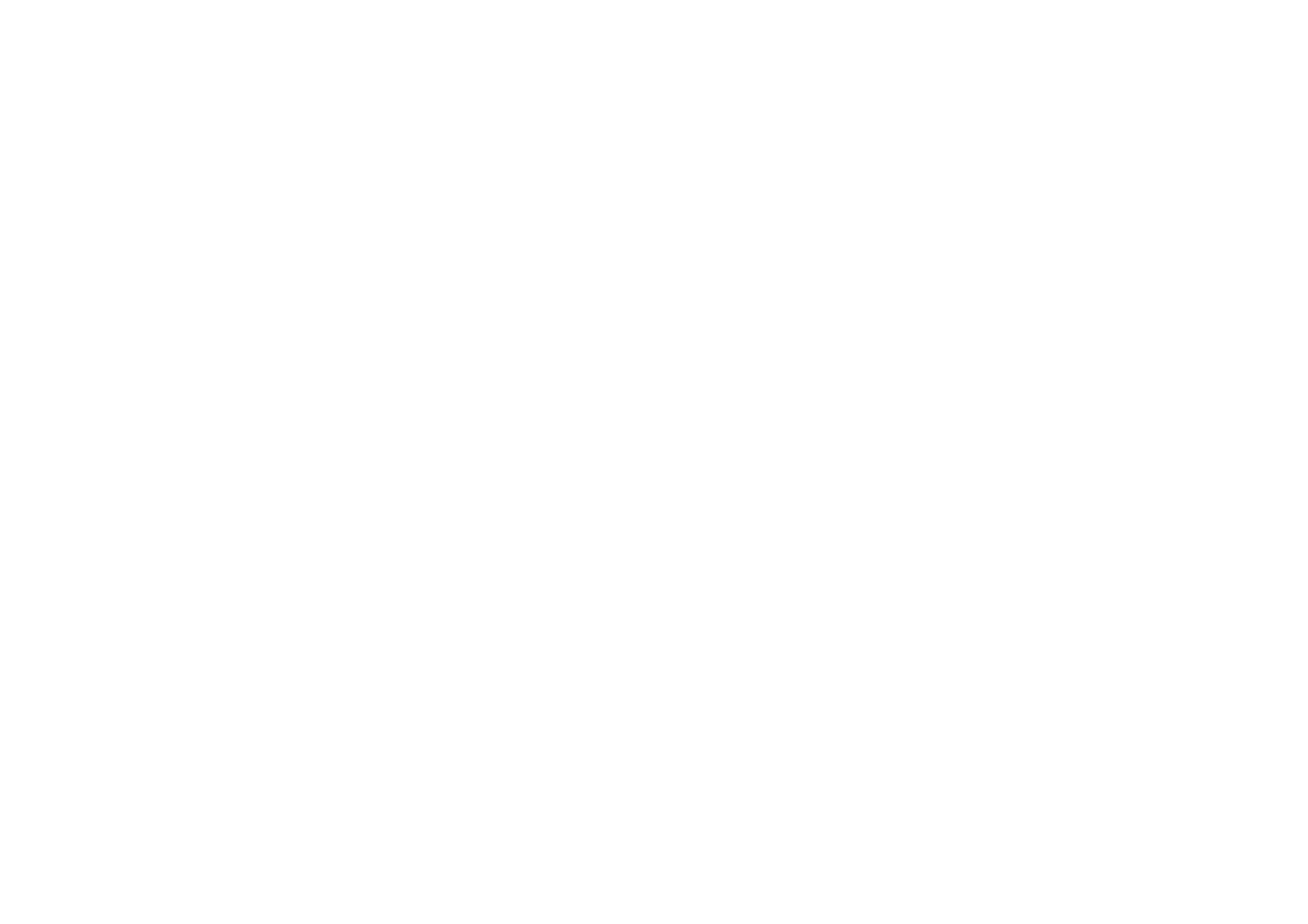TNT Hybrid